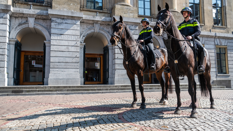 Politieacademie studierichting Overig - agenten te paard