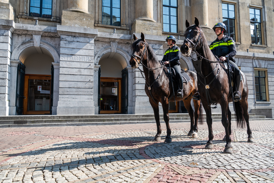 Politieacademie studierichting Overig - agenten te paard